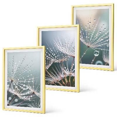 Cadre photo mural Gouttes d'eau sur les pousses de pissenlit