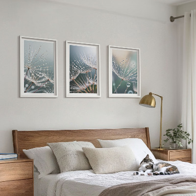 Cadre photo mural Gouttes d'eau sur les pousses de pissenlit