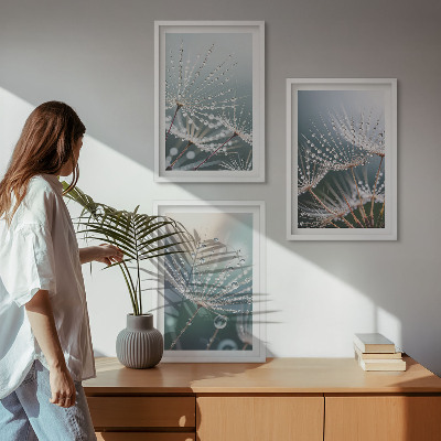 Cadre photo mural Gouttes d'eau sur les pousses de pissenlit