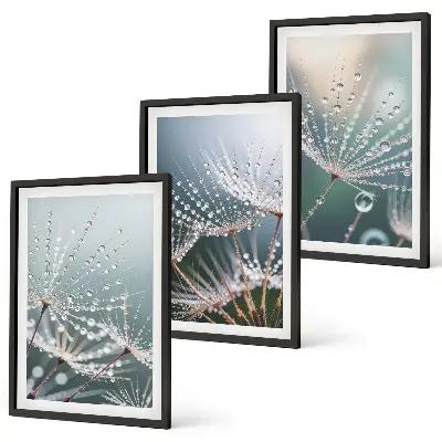 Cadre photo mural gouttes d'eau sur des pousses de pissenlit