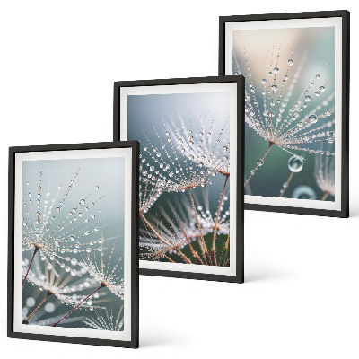 Cadre photo mural Gouttes d'eau sur les pousses de pissenlit