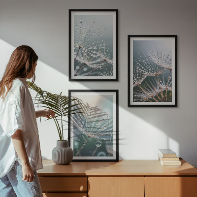 Cadre photo mural Gouttes d'eau sur les pousses de pissenlit