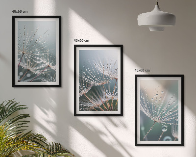 Cadre photo mural Gouttes d'eau sur les pousses de pissenlit