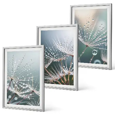 Cadre photo mural gouttes d'eau sur des pousses de pissenlit