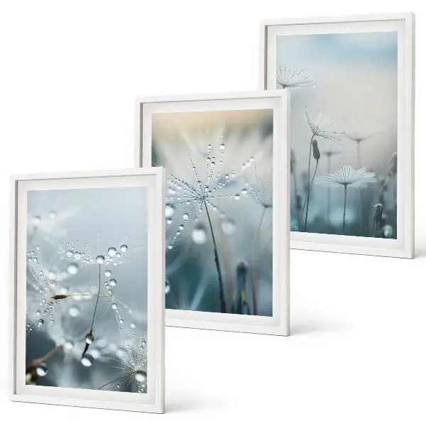 Tableau Rosée sur les pissenlits lot de 3 décorations pour le salon