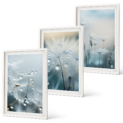 Lot de 3 tableaux pour salon Rosée sur les pissenlits