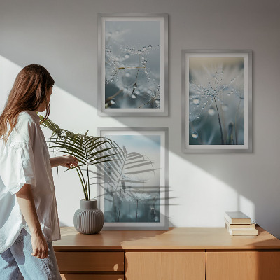 Lot de 3 tableaux pour salon Rosée sur les pissenlits