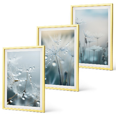 Lot de 3 tableaux pour salon Rosée sur les pissenlits