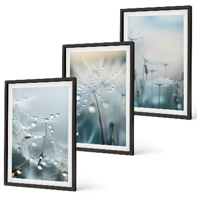 Lot de 3 tableaux pour salon Rosée sur les pissenlits
