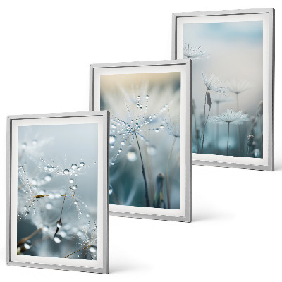 Lot de 3 tableaux pour salon Rosée sur les pissenlits