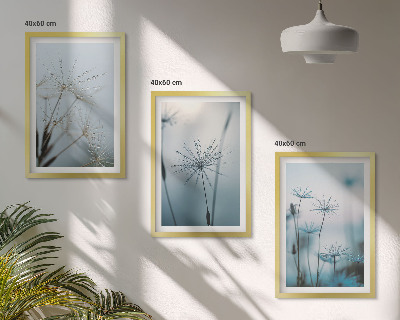 Cadre photo mural Pissenlits avec des gouttes d'eau