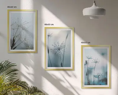 Cadre photo mural représentant des pissenlits avec des gouttes d'eau