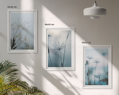 Cadre photo mural Pissenlits avec des gouttes d'eau