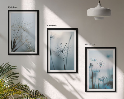 Cadre photo mural Pissenlits avec des gouttes d'eau