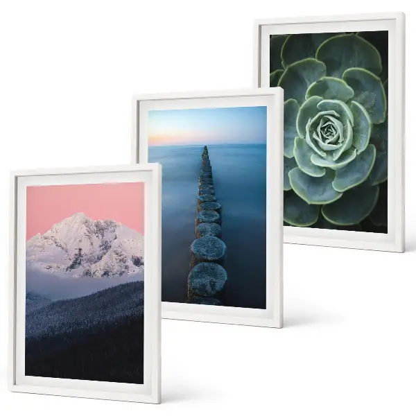 Cadre photo mural représentant des montagnes sous un ciel rose avec de l'eau et des plantes succulentes