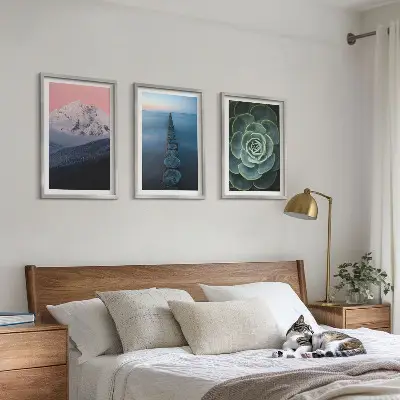 Cadre photo mural représentant des montagnes sous un ciel rose avec de l'eau et des plantes succulentes