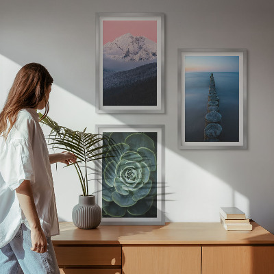 Cadre photo mural Montagnes ciel rose eau succulente