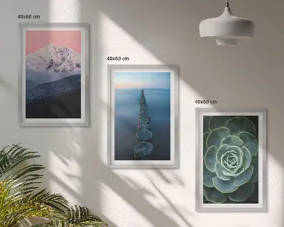 Cadre photo mural représentant des montagnes sous un ciel rose avec de l'eau et des plantes succulentes