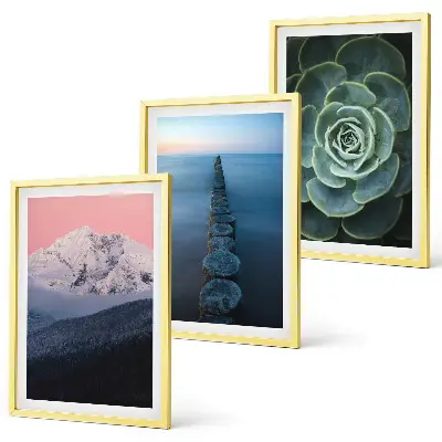 Cadre photo mural représentant des montagnes sous un ciel rose avec de l'eau et des plantes succulentes
