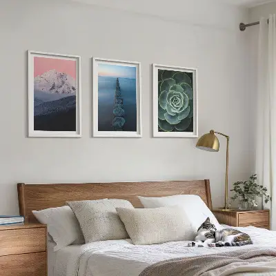 Cadre photo mural représentant des montagnes sous un ciel rose avec de l'eau et des plantes succulentes