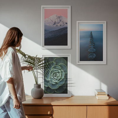 Cadre photo mural Montagnes ciel rose eau succulente