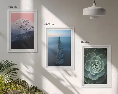 Cadre photo mural représentant des montagnes sous un ciel rose avec de l'eau et des plantes succulentes