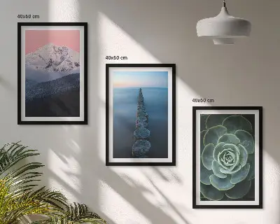 Cadre photo mural représentant des montagnes sous un ciel rose avec de l'eau et des plantes succulentes