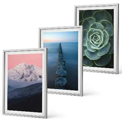 Cadre photo mural représentant des montagnes sous un ciel rose avec de l'eau et des plantes succulentes