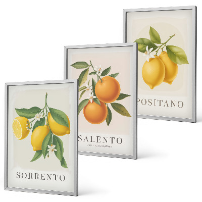 Cadre photo mural Citrons et oranges d'Amalfi
