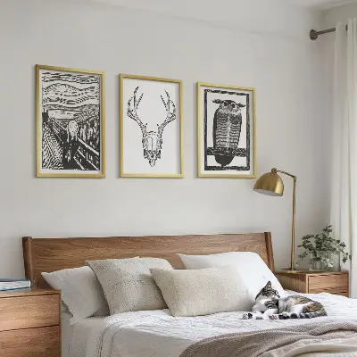 Lot de 3 tableaux pour salon motif de hibou au crâne hurlant