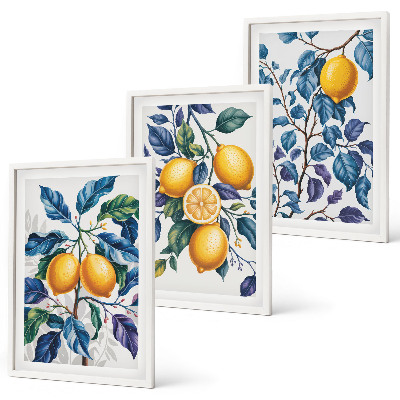 Lot de 3 tableaux pour salon Branches de citronnier feuilles bleues
