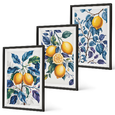Lot de 3 tableaux pour salon Branches de citronnier feuilles bleues