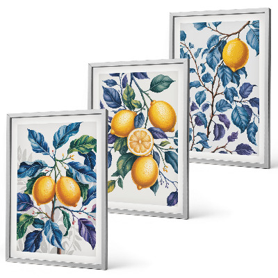 Lot de 3 tableaux pour salon Branches de citronnier feuilles bleues