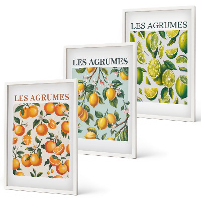 Lot de 3 tableaux pour salon Motifs pastel d'agrumes fruités