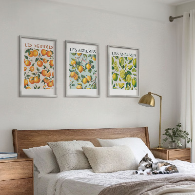 Lot de 3 tableaux pour salon Motifs pastel d'agrumes fruités