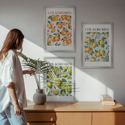Lot de 3 tableaux pour salon Motifs pastel d'agrumes fruités
