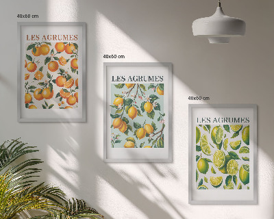 Lot de 3 tableaux pour salon Motifs pastel d'agrumes fruités
