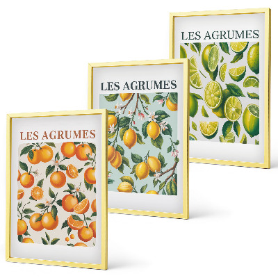 Lot de 3 tableaux pour salon Motifs pastel d'agrumes fruités