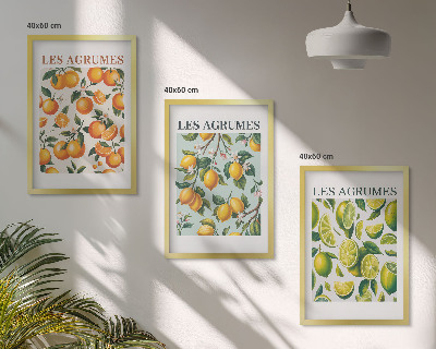 Lot de 3 tableaux pour salon Motifs pastel d'agrumes fruités