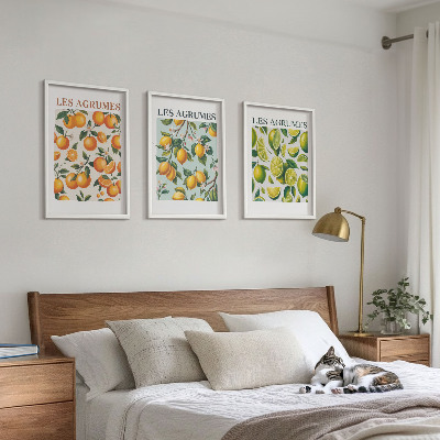 Lot de 3 tableaux pour salon Motifs pastel d'agrumes fruités