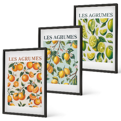 Lot de 3 tableaux pour salon Motifs pastel d'agrumes fruités