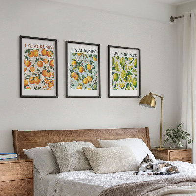 Lot de 3 tableaux pour salon Motifs pastel d'agrumes fruités