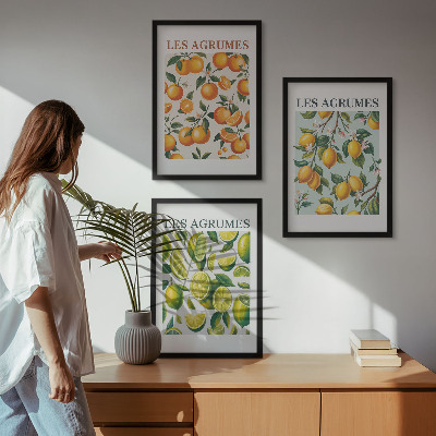 Lot de 3 tableaux pour salon Motifs pastel d'agrumes fruités