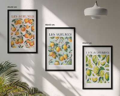 Lot de 3 tableaux pour salon Motifs pastel d'agrumes fruités