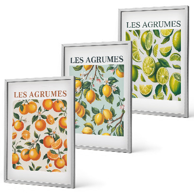 Lot de 3 tableaux pour salon Motifs pastel d'agrumes fruités