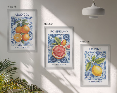 Lot de 3 tableaux pour salon Illustrations vintage d'agrumes