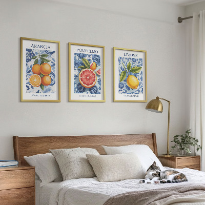 Lot de 3 tableaux pour salon Illustrations vintage d'agrumes