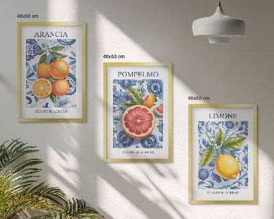 Lot de 3 tableaux pour salon Illustrations vintage d'agrumes