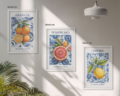 Lot de 3 tableaux pour salon Illustrations vintage d'agrumes