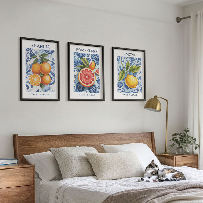 Lot de 3 tableaux pour salon Illustrations vintage d'agrumes